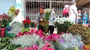 El bloqueo de caminos en Cochabamba genera pérdidas millonarias a floricultores