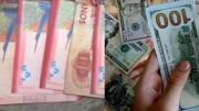 Emprendedores fueron víctimas de estafa en la compra de dólar virtual por la suma de Bs. 100.000