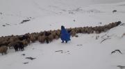 Senamhi alerta nevadas en la cordillera paceña e ingreso de frente frío en cinco regiones