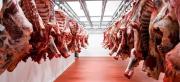 Misión llegó al país para revisar cumplimiento de recomendaciones para exportar carne a Chile