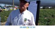 Murió Cosme Argerich, impulsor del programa Tomate 2000 y figura clave del agro cuyano