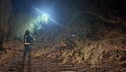 Temporal de viento en Cachi derribó árboles y postes de luz