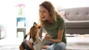 Cómo cuidar a tu MASCOTA cuando estás fuera de casa: estas TECNOLOGÍAS son las mejores aliadas