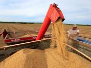 Productores del NOA advirtieron desventajas e insistieron en la eliminación de retenciones