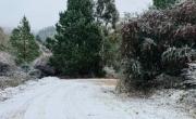 Nevó en Argentina y hay furor en plena ola polar: las imágenes del momento