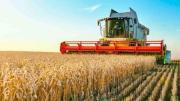 El campo cuestionó la suba de retenciones: “El bolsillo no aguanta más”