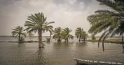 Cambio climático y estrategia: el impacto de la geopolítica en las decisiones de las empresas