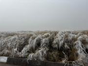 Cómo se produce la nieve y qué hacer ante una nevada o ventisca en Argentina