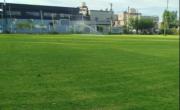 Piñas a un árbitro de fútbol infantil de La Plata: el comunicado del club del DT violento