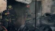 Tragedia en Parque Avellaneda: murió una persona, 20 gatos y siete perros en un brutal incendio