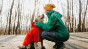 ¿Qué significa amar a los perros, según la psicología?
