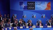 La OTAN, ese alto representante del lobby armamentístico