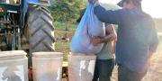 En el norte de La Paz empieza la siembra de soya
