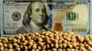 Por las liquidaciones del agro entraron más de 3700 millones de dólares en junio