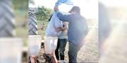 Se inicia la siembra de soya en el norte paceño