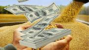 Dólar: los agroexportadores liquidaron u$s3.706 millones en junio antes de la suba de retenciones