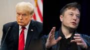 Donald Trump endureció su postura contra Elon Musk y las acciones de Tesla caen hasta 6% en Wall Street