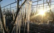 Coronel Suárez, con -8,5ºC, es la ciudad más fría de la provincia de Buenos Aires: ¿Y La Plata?    