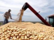 Los agroexportadores liquidaron una cifra récord de dólares antes de la suba de las retenciones