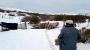 Dónde es Maquinchao, la ciudad rionegrina que sorprende al país por sus bajas temperaturas