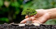 Una por una: qué están haciendo las principales empresas del país contra el cambio climático