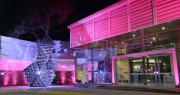 La particular muestra internacional que se podrá recorrer en el Museo Franklin Rawson