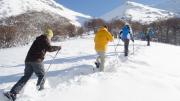 El Centro de Actividades de Montaña La Hoya abre sus puertas a peatones este viernes 4 de julio