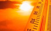 “El mundo debe aprender a vivir con las olas de calor”