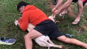 Fue atacado por dos pitbulls y logró detenerlos con tomas de artes marciales