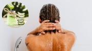 Colocar aloe vera en el shampoo: por qué recomiendan hacerlo y para qué sirve