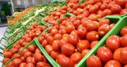 Llegaron los aumentos a la Feria de Capital: subieron los precios del tomate, la cebolla y más verduras y frutas