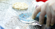 El inesperado ingrediente saludable que la UNLP recomienda usar en la preparación de comidas