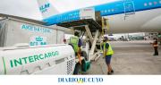 Intercargo despidió a dos maleteros por dañar equipaje en Aeroparque