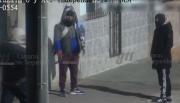 VIDEO. Los captó una cámara del 911 mientras intentaban robar en una parada de colectivos