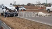 Animal suelto casi provoca una tragedia: atropellaron a un caballo en la Circunvalación Oeste y hubo largos embotellamientos