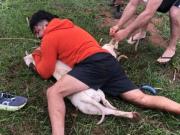 Un experto en artes marciales fue atacado por dos pitbulls: los redujo con una toma y salvó su vida
