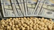 El peso de los impuestos para el campo subió en el segundo trimestre, pese a baja de retenciones