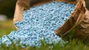 Con sólo dos ingredientes que tenés en tu cocina vas a poder hacer un fertilizante que mantendrá con vida a tus plantas en invierno