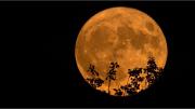 Cuándo es la “Luna Llena de Ciervo” en julio 2025