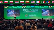 Cumbre Climática: Passerini anunció un parque solar para alumbrar a los 16 municipios del Ente Metropolitano