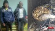Dos sujetos mataron y cocinaron a un perro en Llallagua; fueron enviados a la cárcel