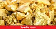 El Precio del Oro en Constant Ajuste