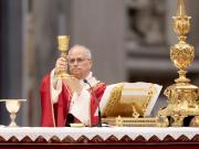 El Papa aprobó una nueva misa para concientizar sobre el cuidado del medio ambiente