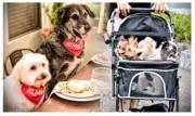 ¿Hijos o perros? La metamorfosis afectiva del siglo XXI