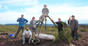 Investigadores del Conicet descubrieron una nueva especie de dinosaurio