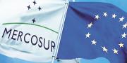 El Mercosur avanza con acuerdos comerciales en su primera jornada