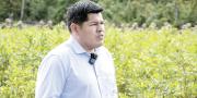 El precio de la libra de la hoja de coca de los Yungas de La Paz llega a Bs 80