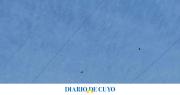 Sorpresa por decenas de cóndores a baja altura