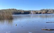 Tandil: el Lago del Fuerte volvió a congelarse por las bajas temperaturas