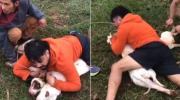 Brasil: fue atacado por dos pitbulls, luchó por su vida y logró dominarlos con técnicas de defensa personal